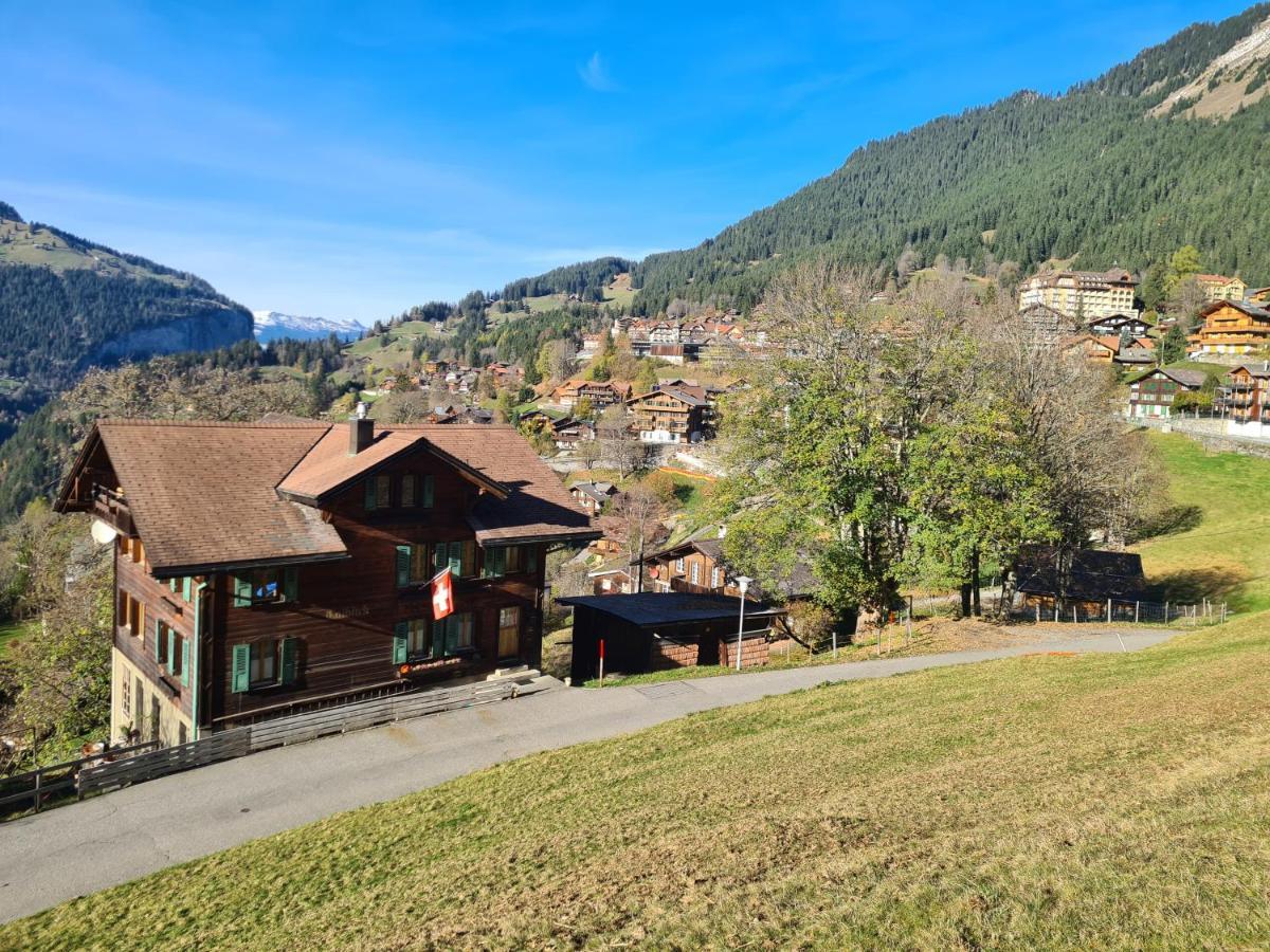 Traditional Chalet In Wengen - Top Floor Lejlighed Eksteriør billede