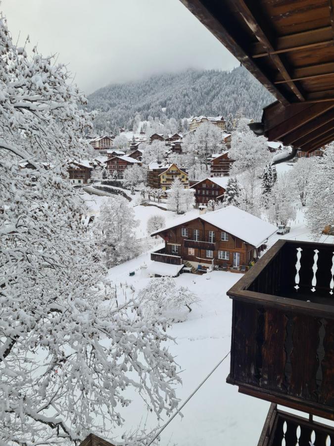 Traditional Chalet In Wengen - Top Floor Lejlighed Eksteriør billede