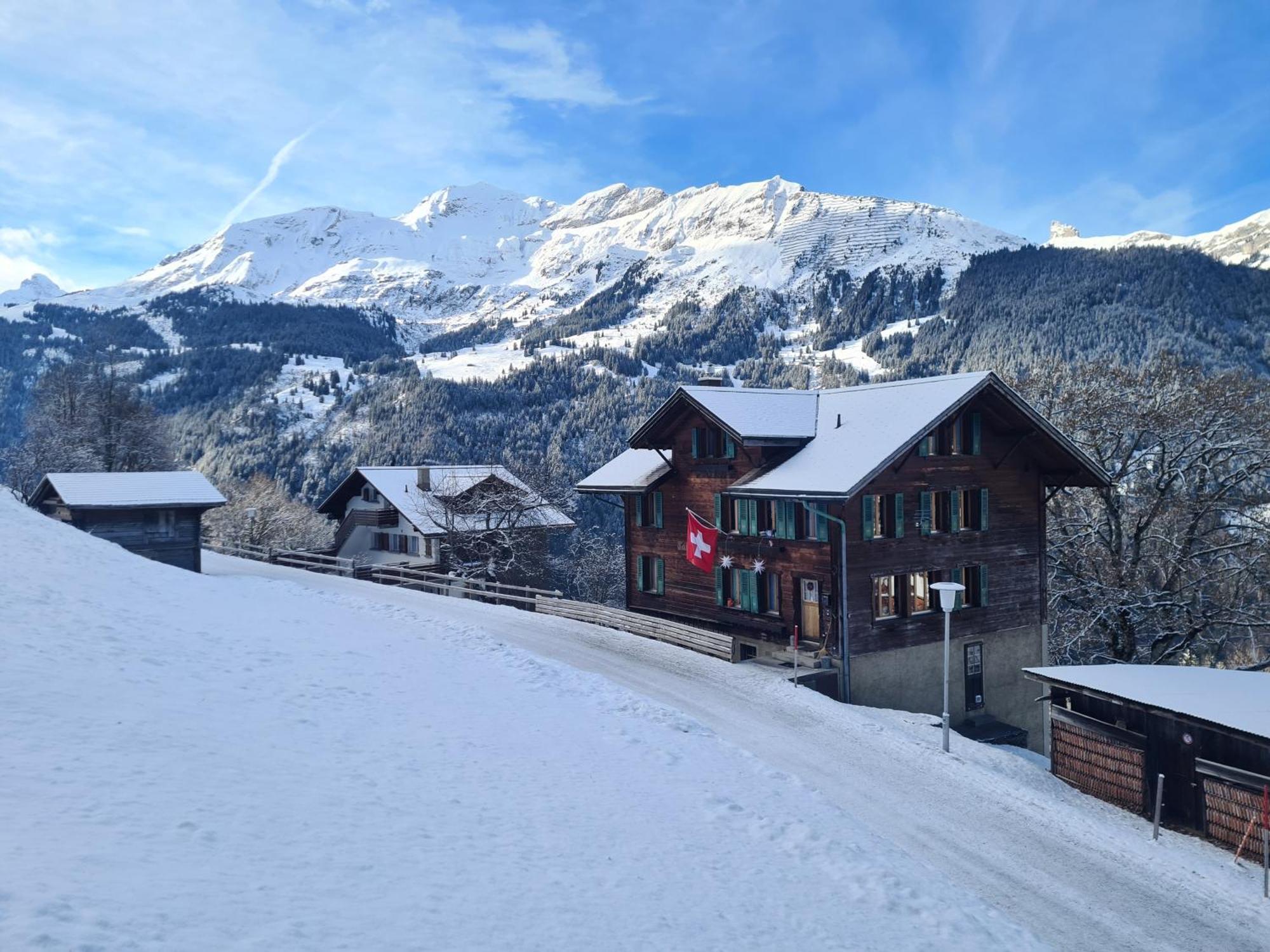 Traditional Chalet In Wengen - Top Floor Lejlighed Eksteriør billede